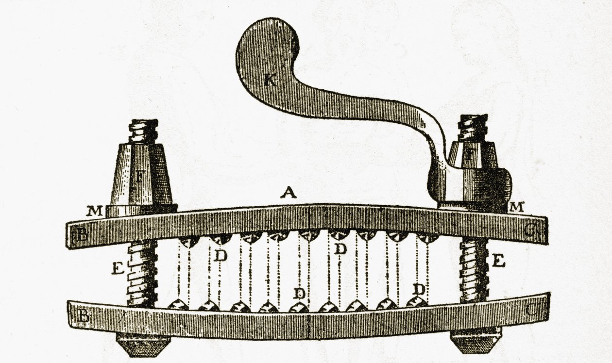 Avusturyalı Maria Theresa