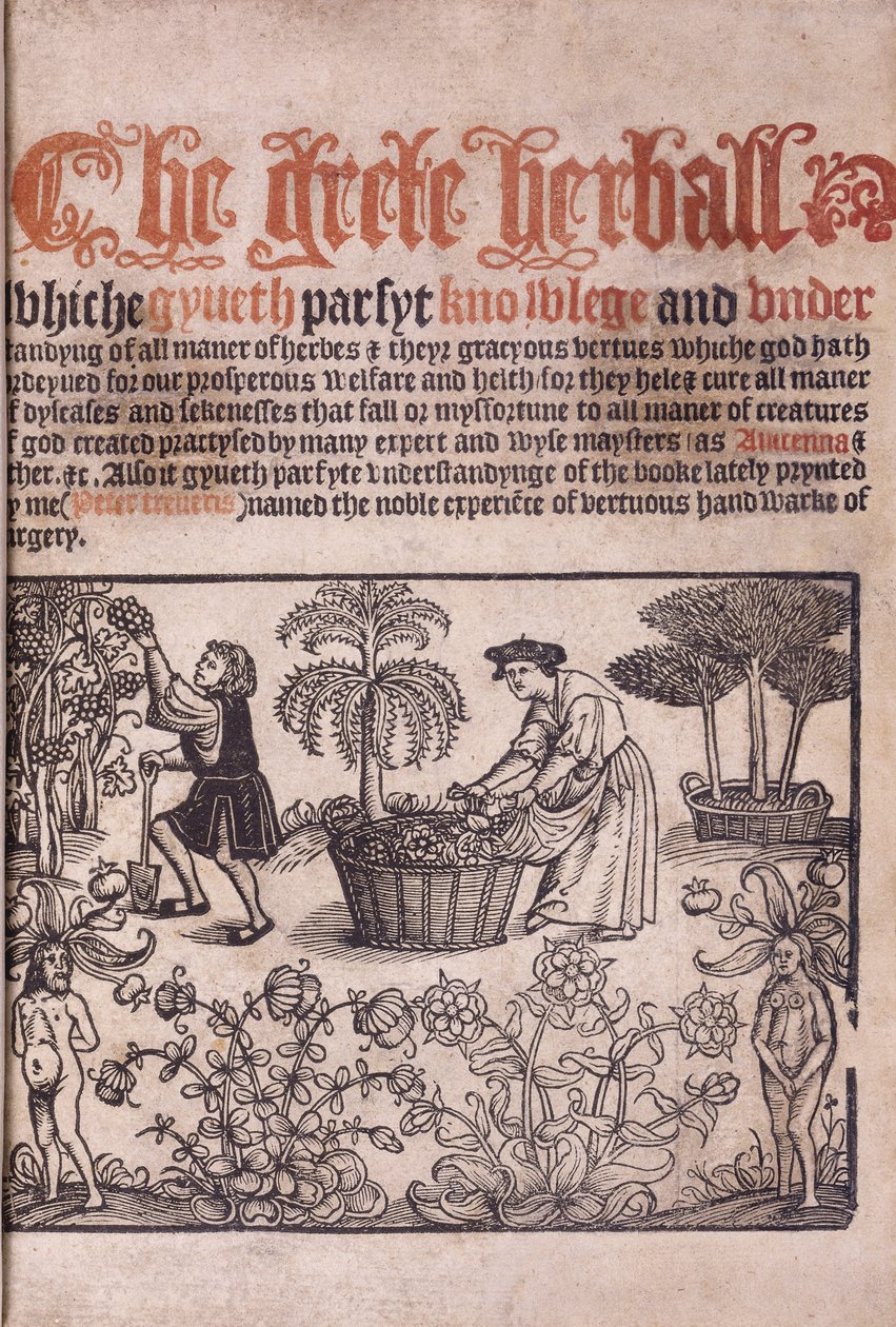 Şekillerle bir bahçe sahnesini gösteren başlık sayfası, 1529 by English School