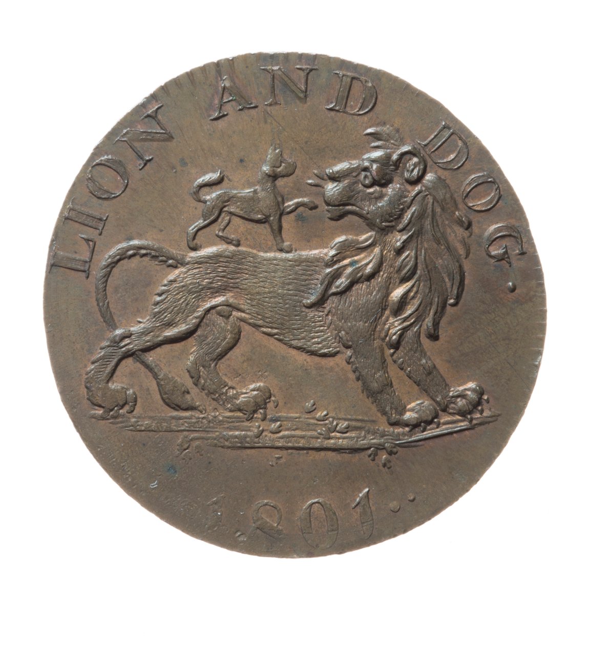 Pidcock Menagerie, Exeter Change, The Strand, Londra için Token by English School