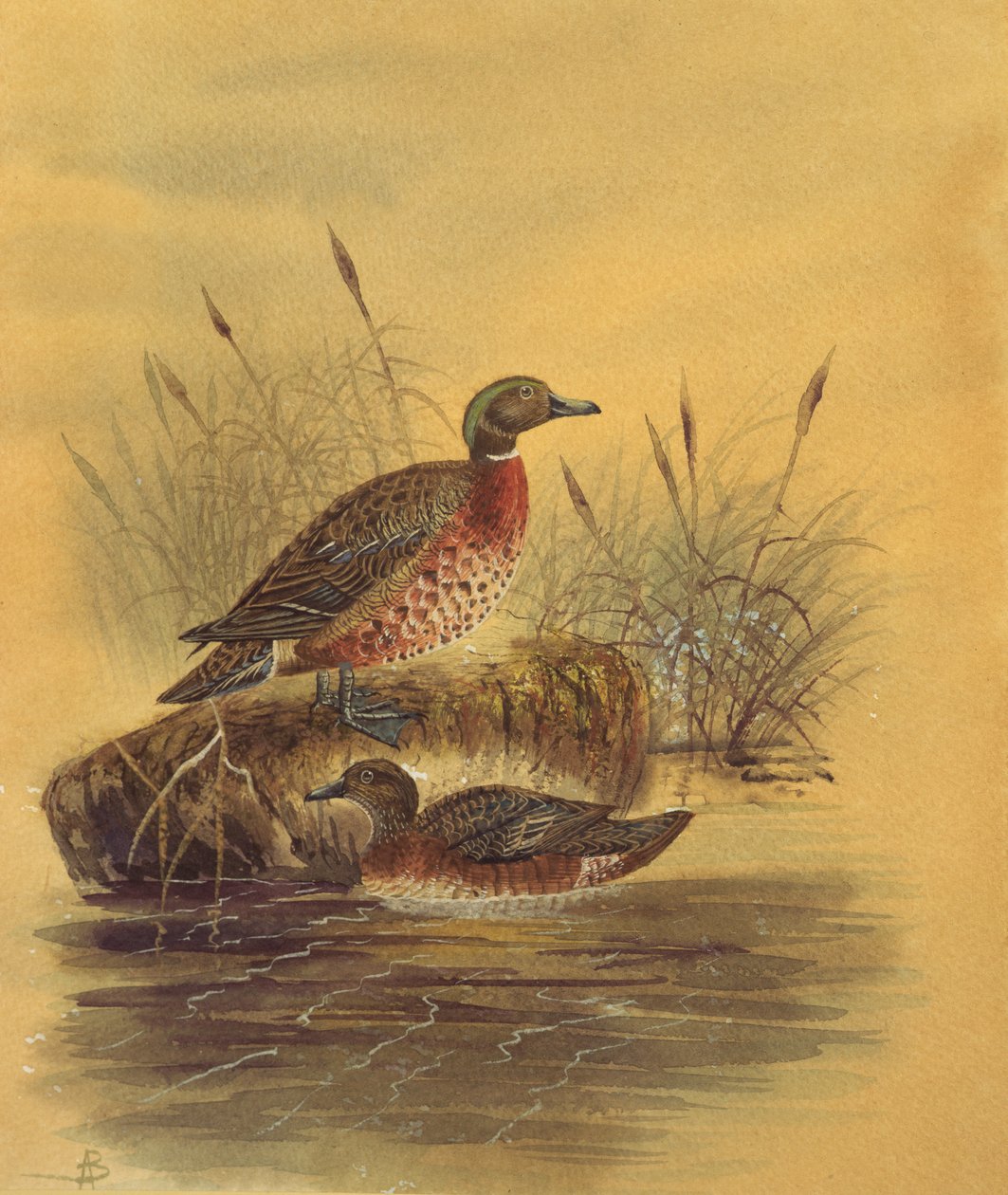 İki Ördek by a Reeded Bank, 1890 dolayları (kağıt üzerinde wc) by English School