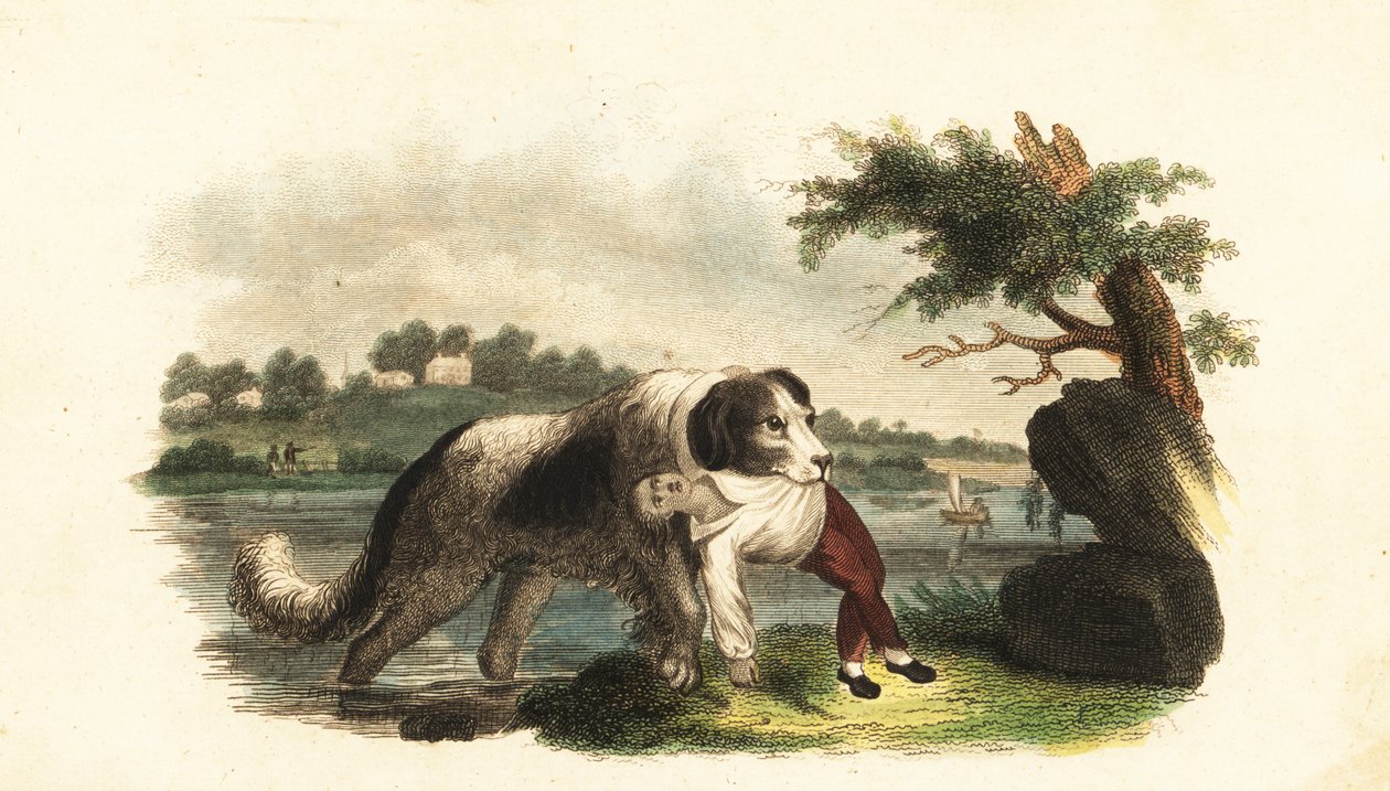 Bilinmeyen resim by English School
