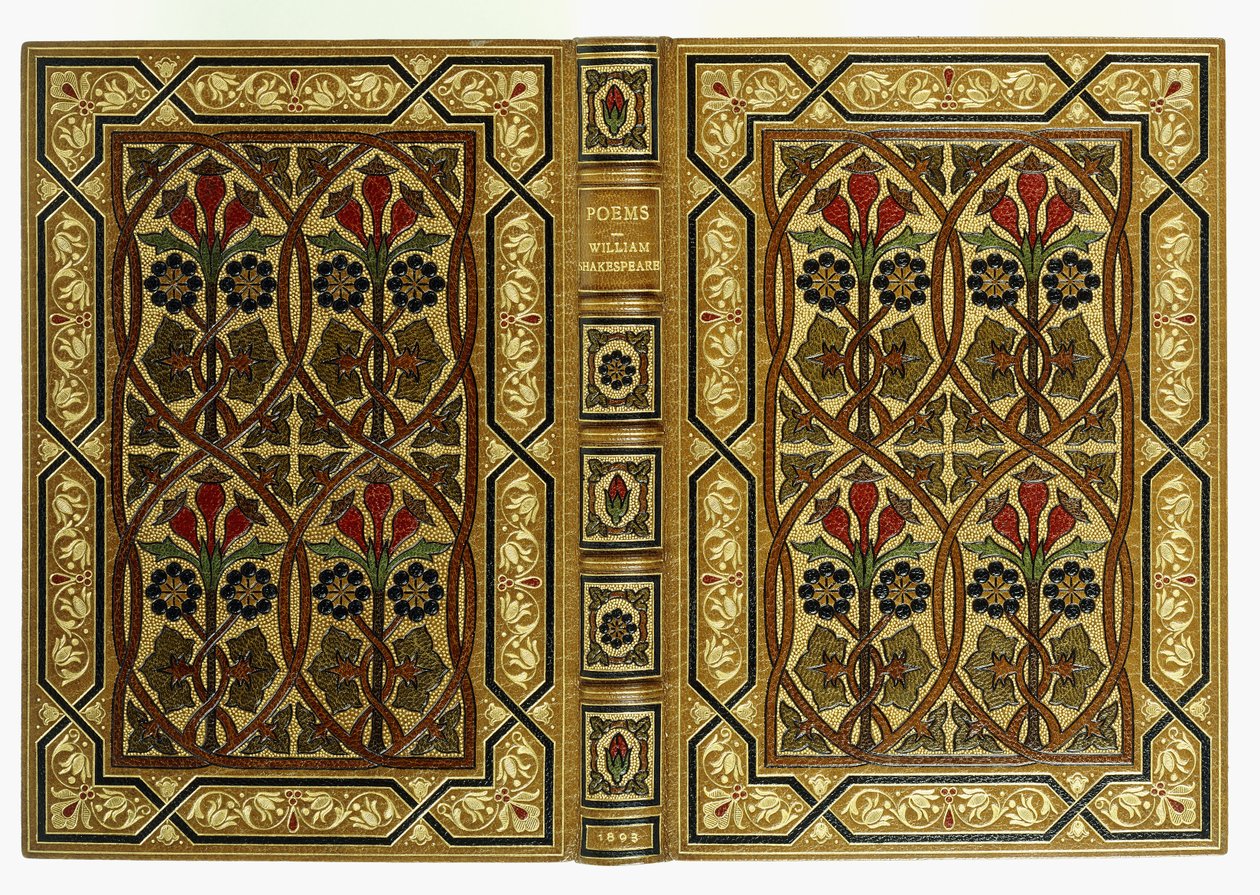 Art-Nouveau geçmeli geometrik desenlerde çiçekli üst ve alt kapaklar, 1893 by English School
