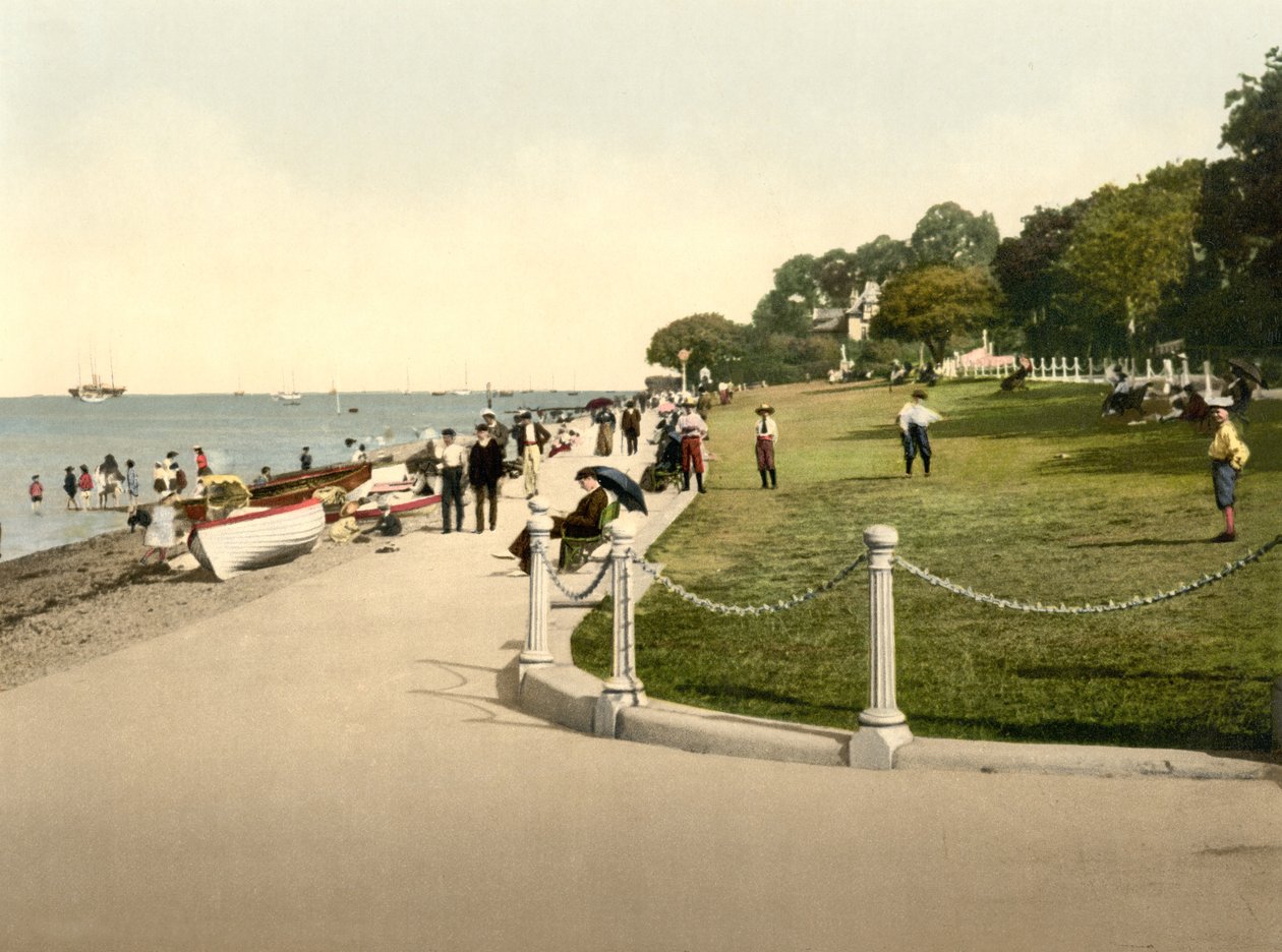 İneklerin görünümü (el ile renklendirilmiş fotoğraf) by English School