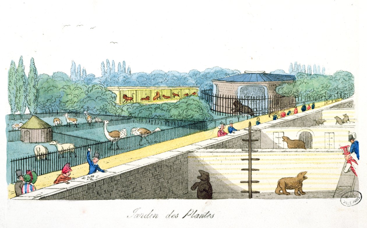 Jardin de Plantes, Paris