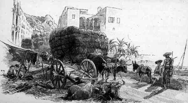 Esparto Grass ile Vagonlar, Almeria, İspanya, Cassell and Co. Ltd. tarafından yayınlanan 