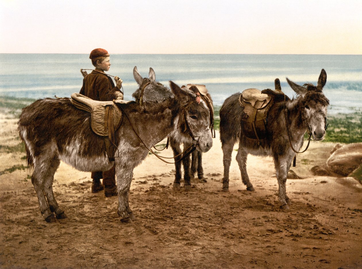 İş bekliyorum (el boyaması fotoğraf) by English School