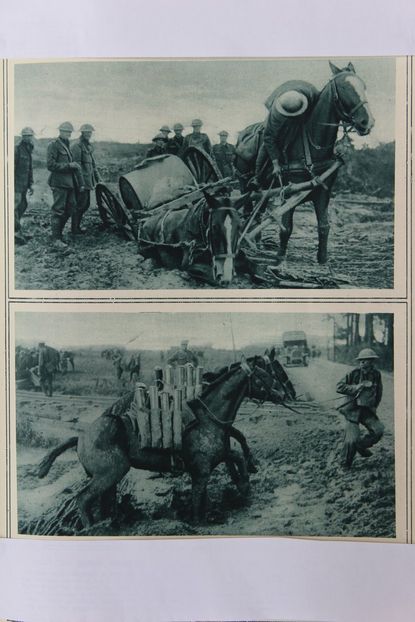 Çamurda batan savaş atları, Kuzey Fransa, Ağustos 1917 by English School