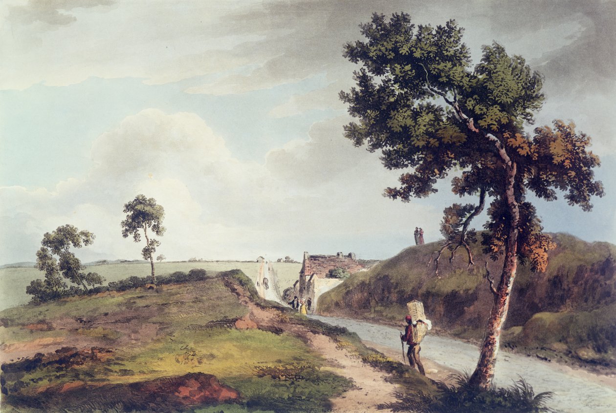 Waterloo, gravür C. Turner, 1816 (renkli gravür) by English School