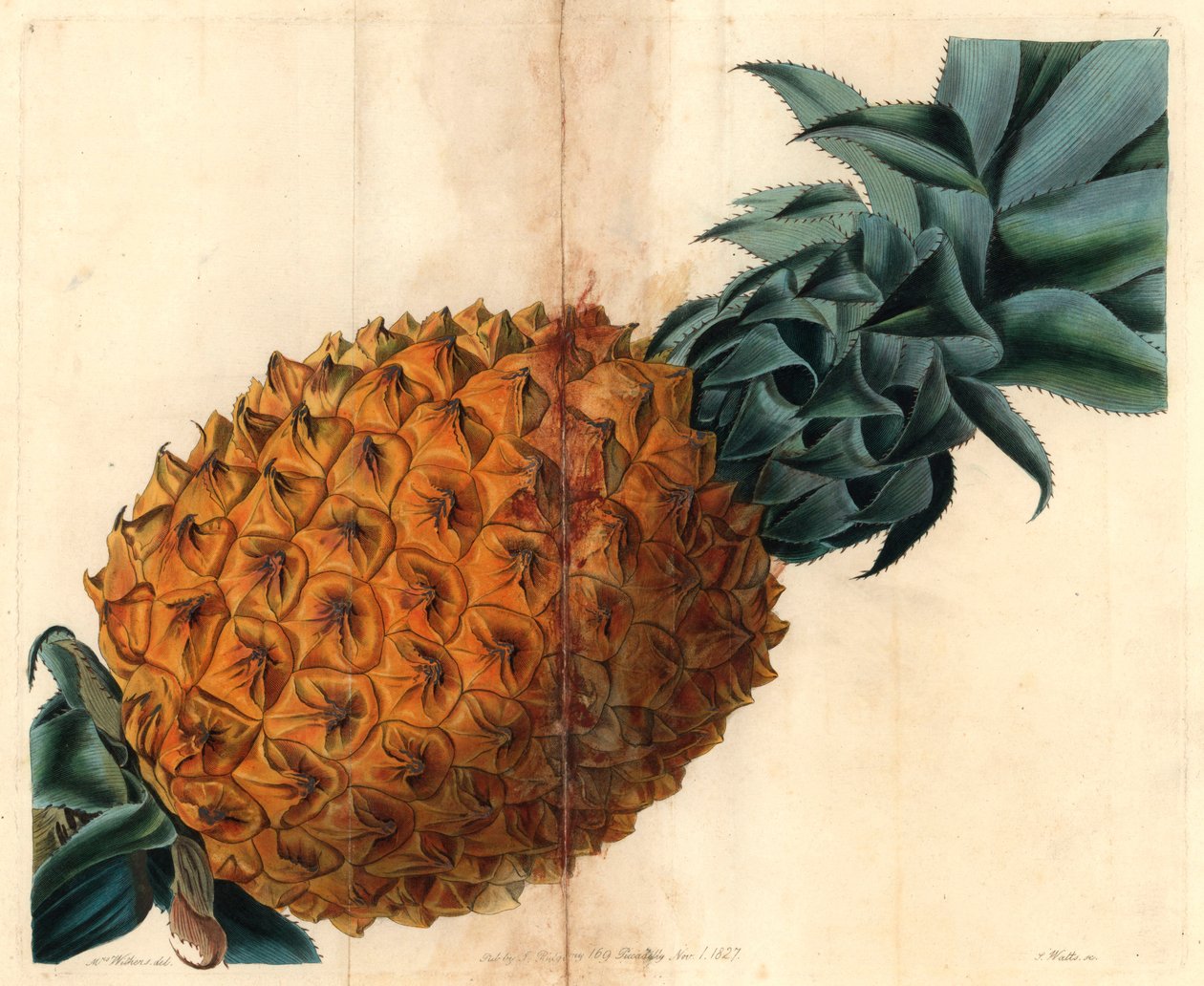 John Lindley