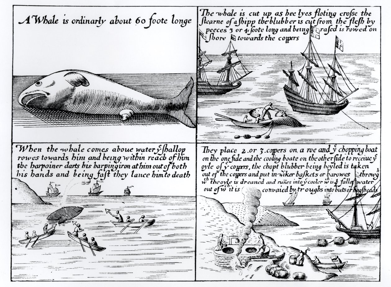 1611