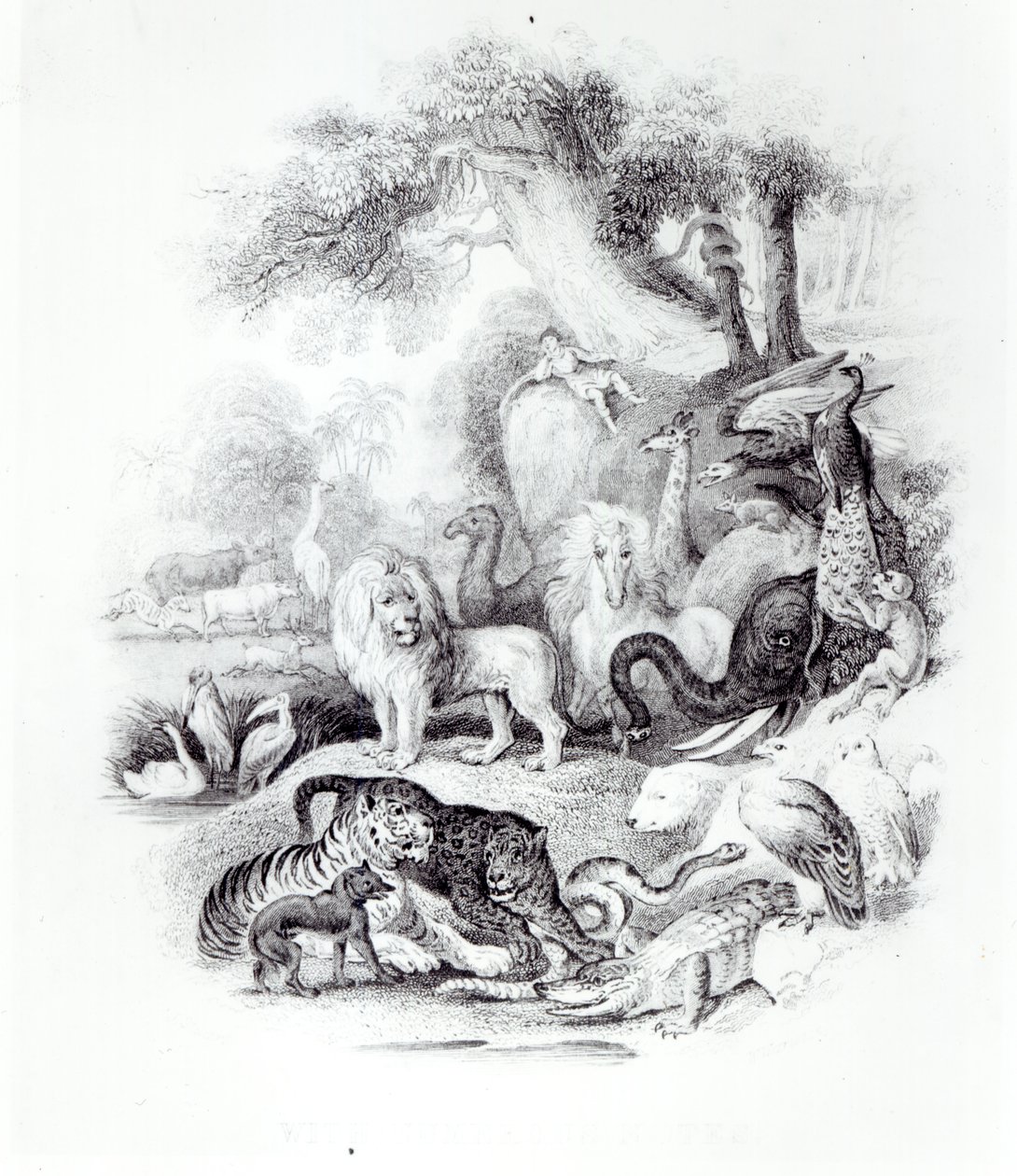 Oliver Goldsmith, Londra, 1840