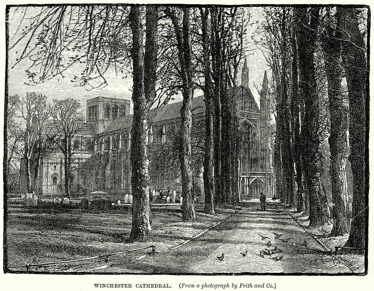 Winchester Katedrali (gravür) by English School