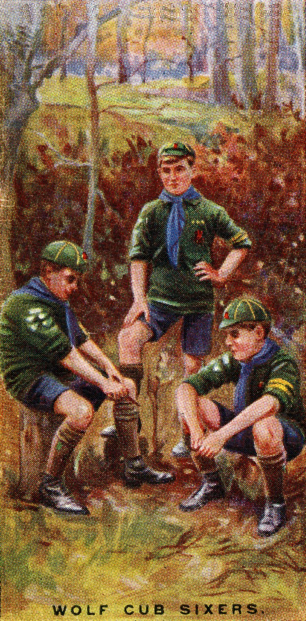 Kurt Yavrusu Altılılar, 1929 by English School