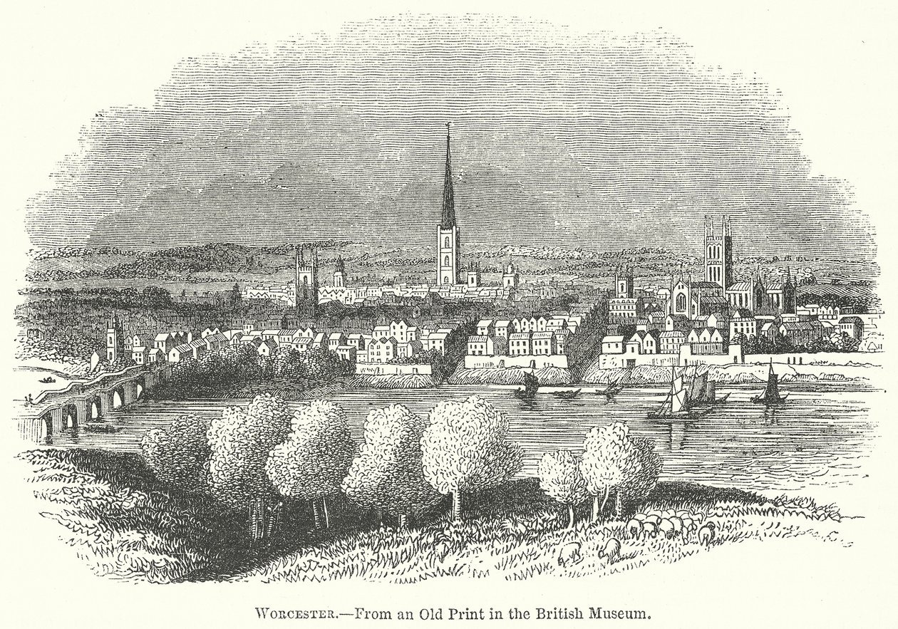 Worcester (gravür) by English School