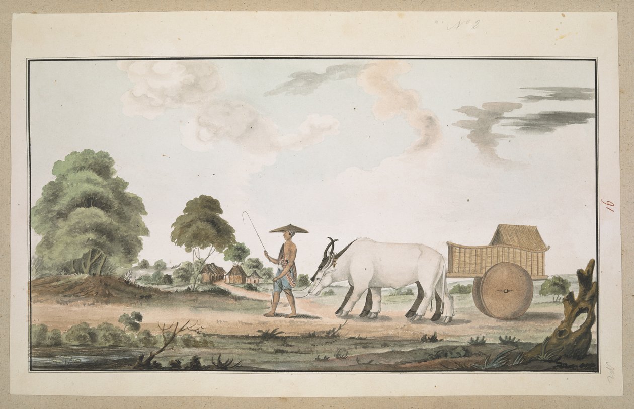 f.80 (91) Bir öküz arabası ve sürücüsü by English School