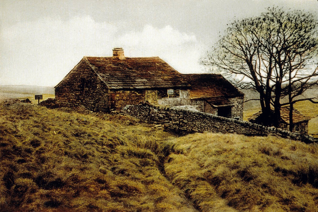 Haworth, Yorkshire yakınlarındaki Moor'da Bir Ev by English School English School