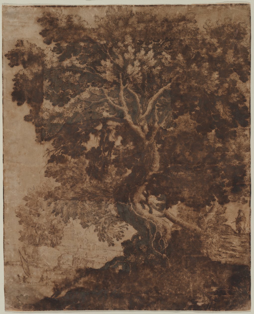 Bir Manzaradaki Ağaç, 17. yüzyılın ortalarında. by Ercole Bazicaluva