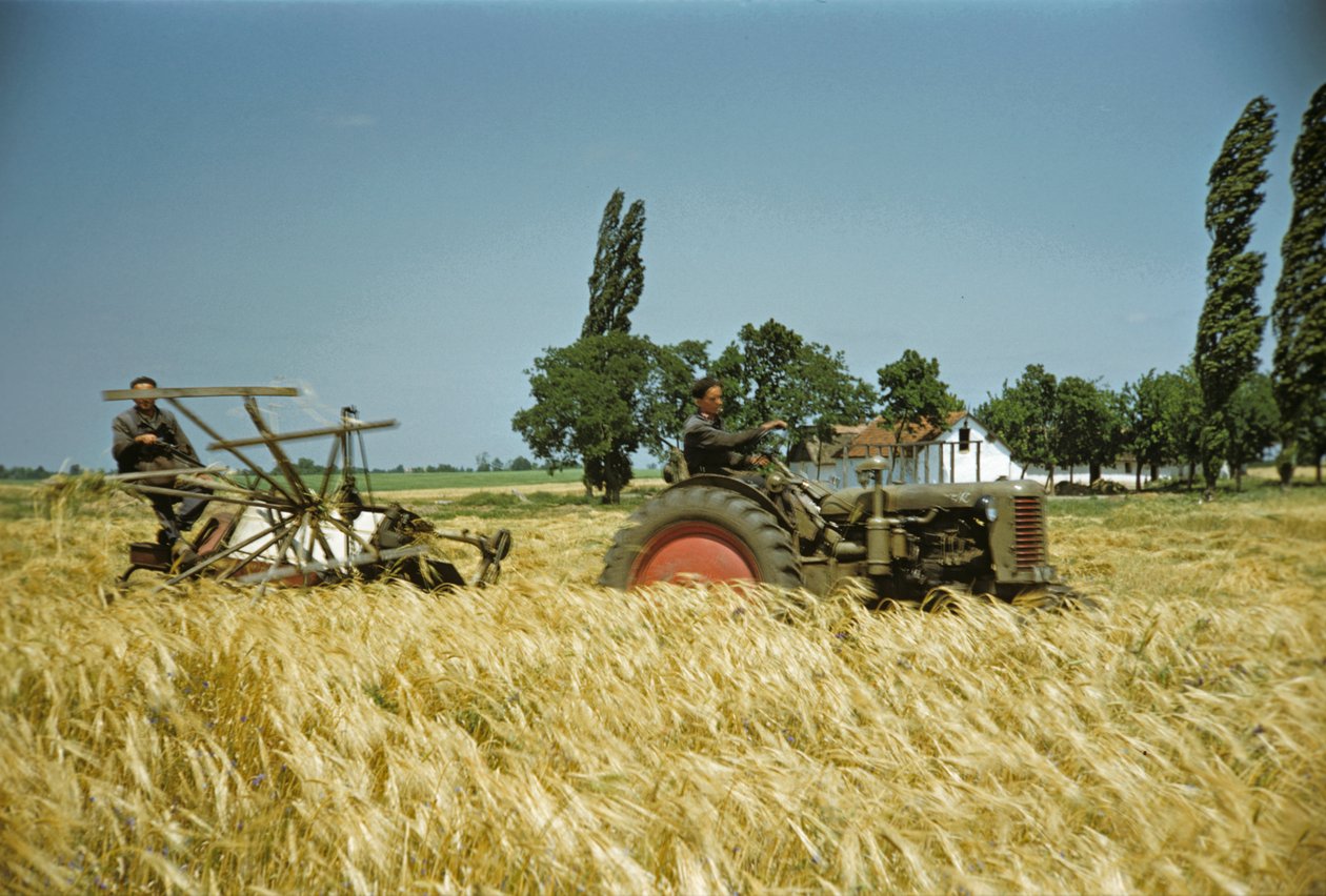  by Erich Lessing