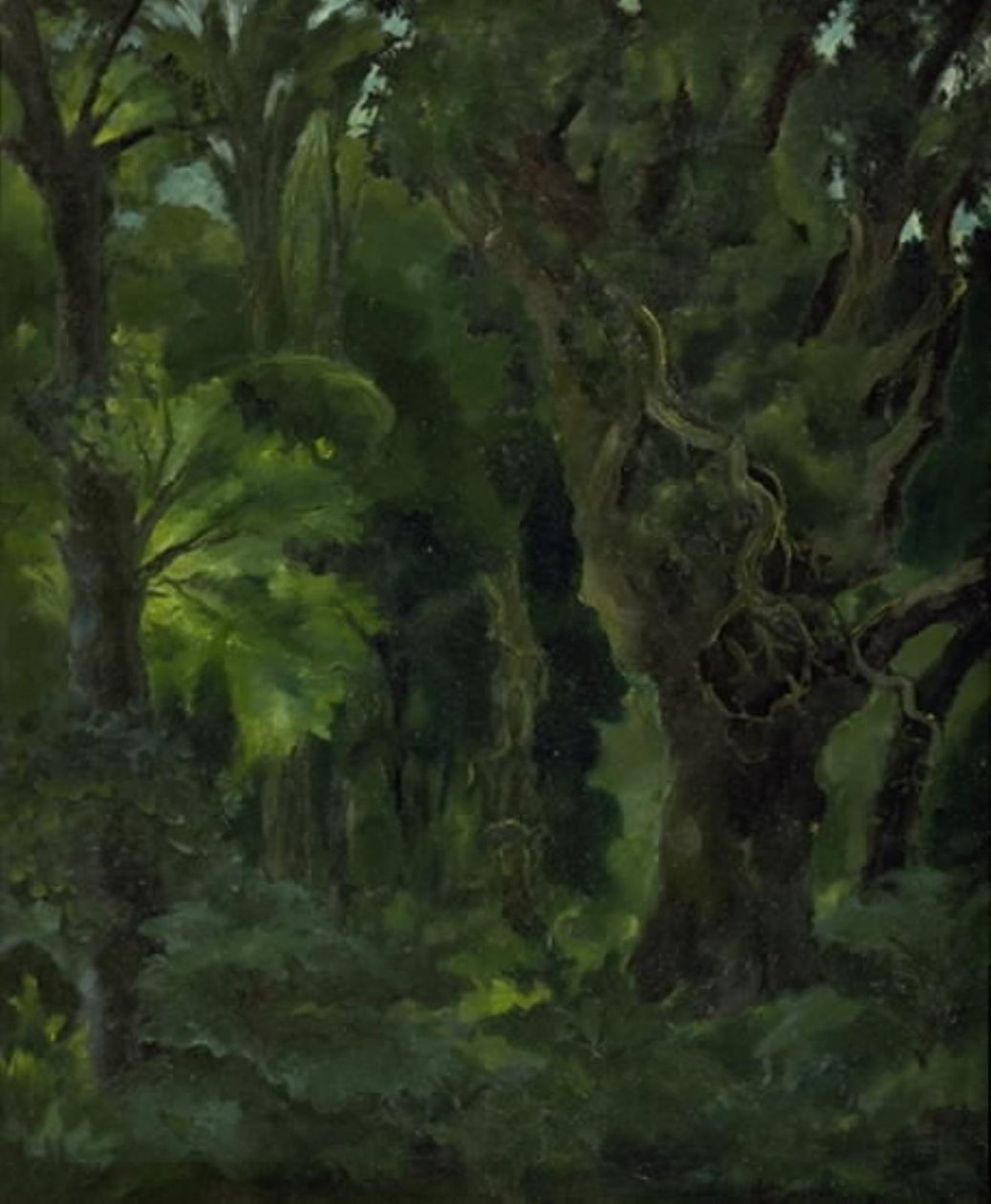 Ormanlık Peyzaj. "İskandinav Ormanı" by Erik Stæhr Nielsen
