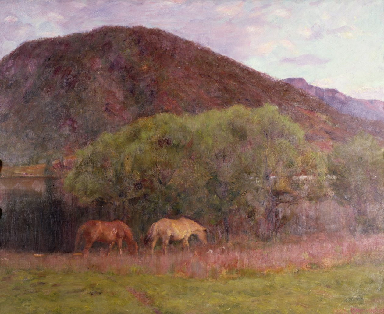 Kviteseid