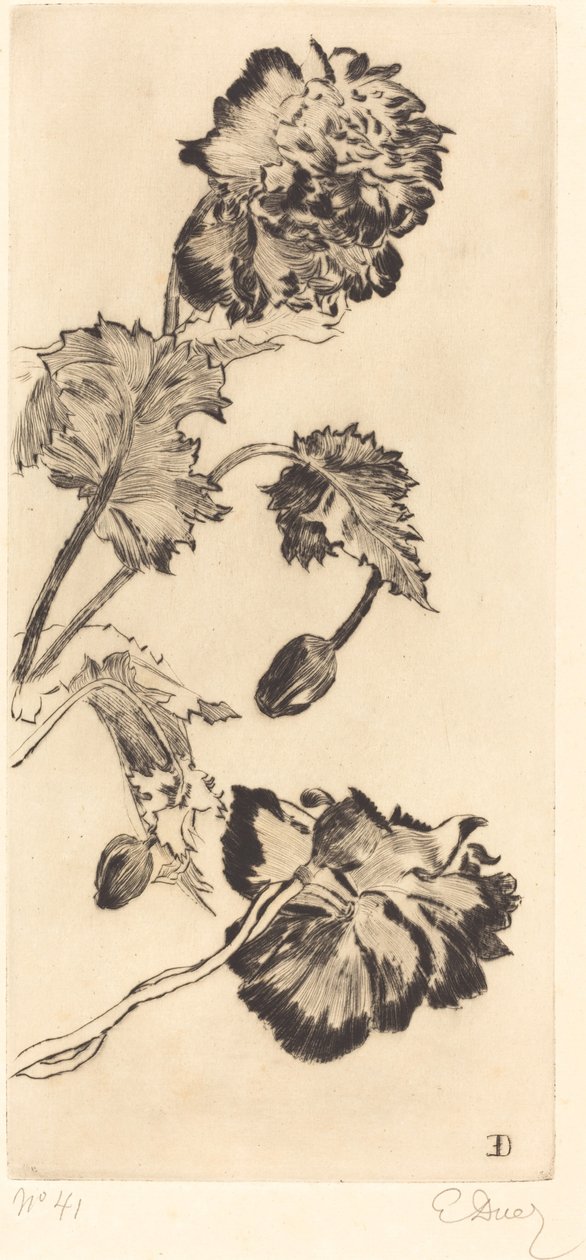 Çiçekler (Fleurs) by Ernest Ange Duez