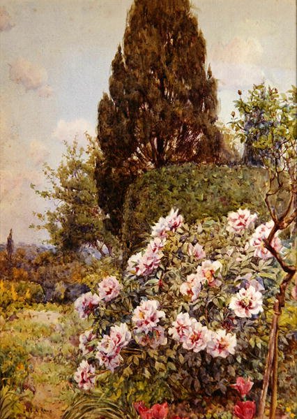 Peonies, Coddington, Ledbury yakınlarında (kalem ve kağıt üzerine sulu boya) by Ernest Arthur Rowe