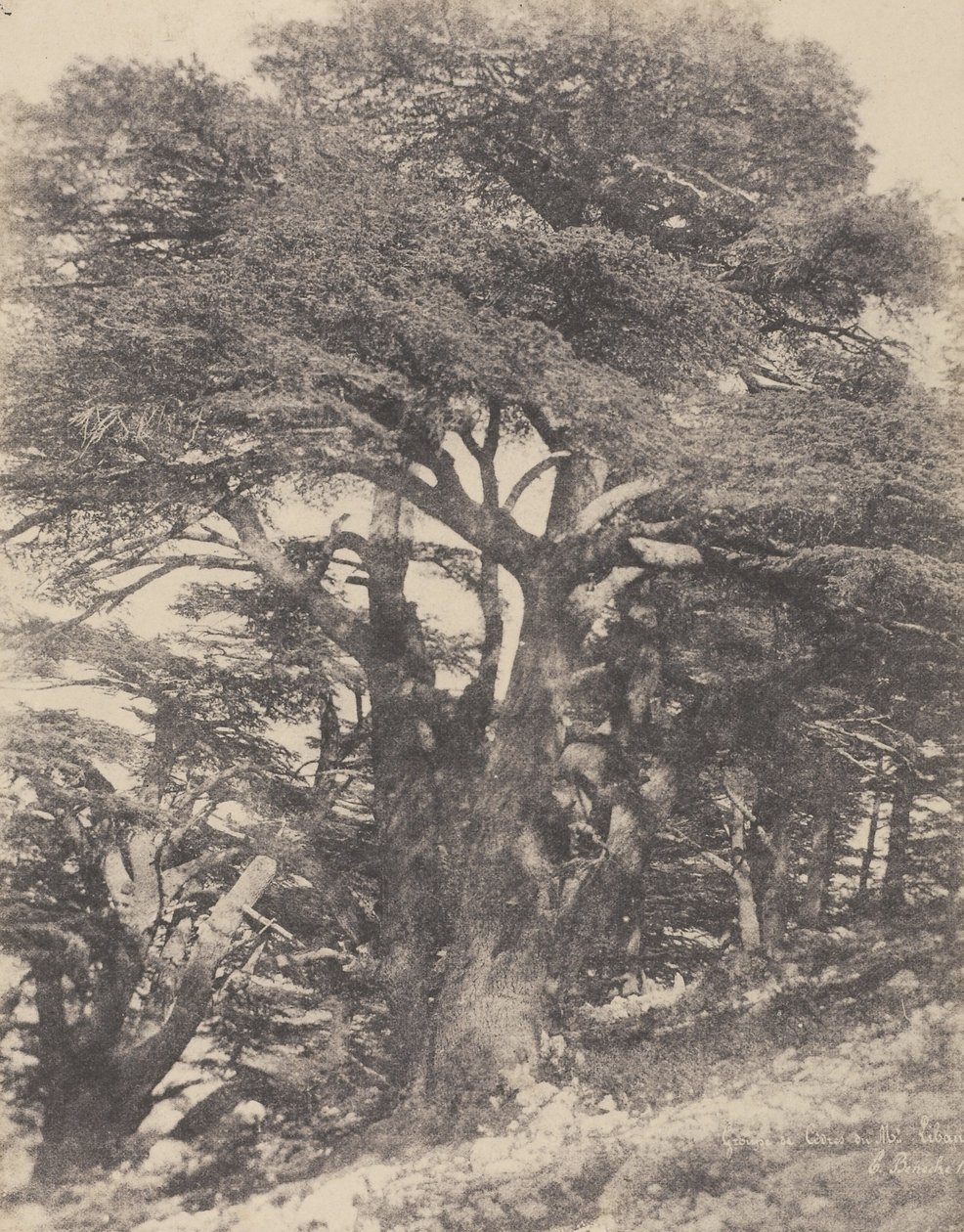  by Ernest Benecke