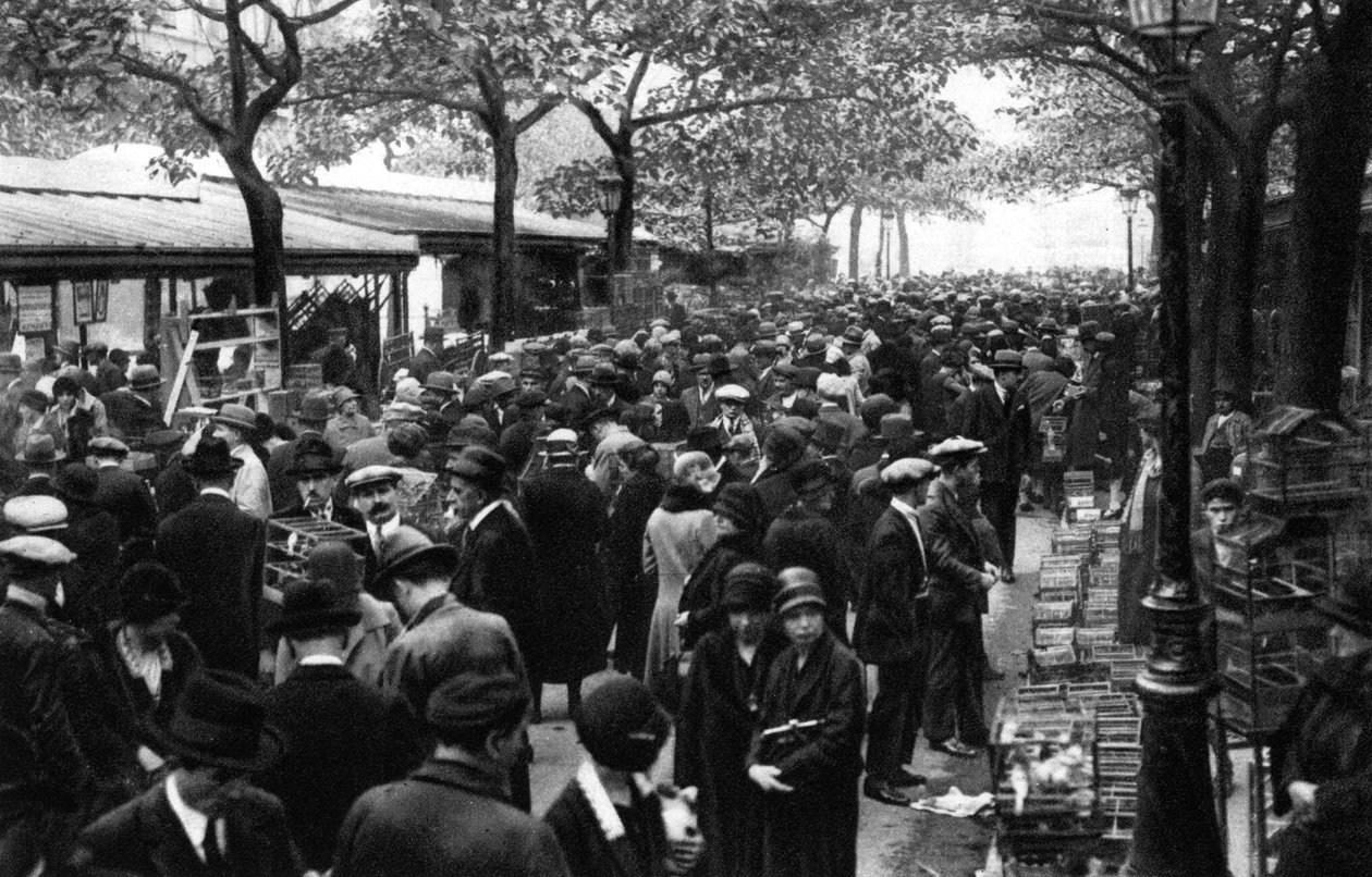 Kuş pazarından genel görünüm, Paris, 1931. by Ernest Flammarion