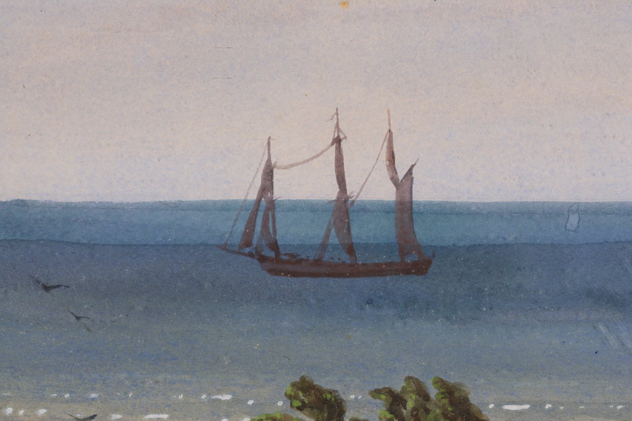 Bir Atolün Üç Parçasının Detayı, 1871 by Ernest Henry Griset