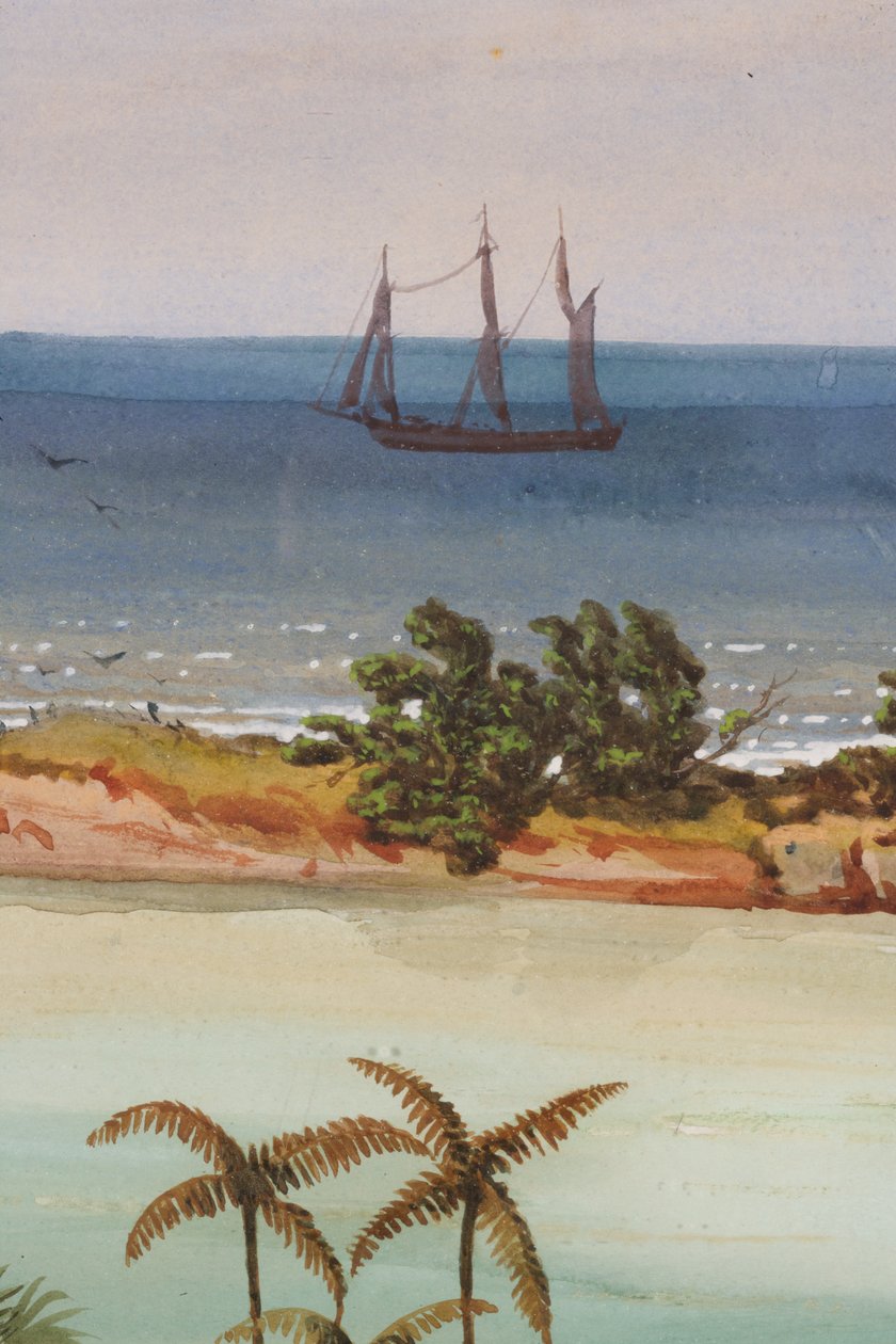 Bir Atolün Üç Parçalı Detayı, 1871 wc kağıt üzerinde by Ernest Henry Griset