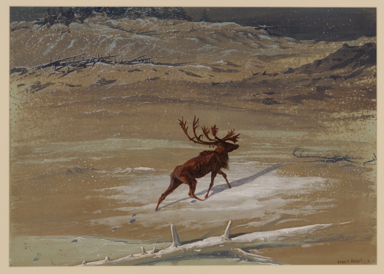 erkek geyik, 1871 by Ernest Henry Griset
