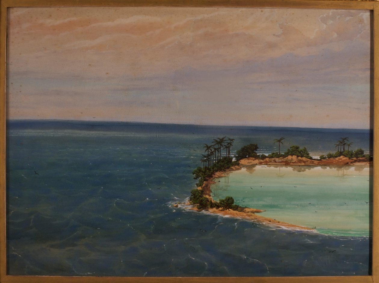 Bir Atolün Üç Parçası, 1871 by Ernest Henry Griset