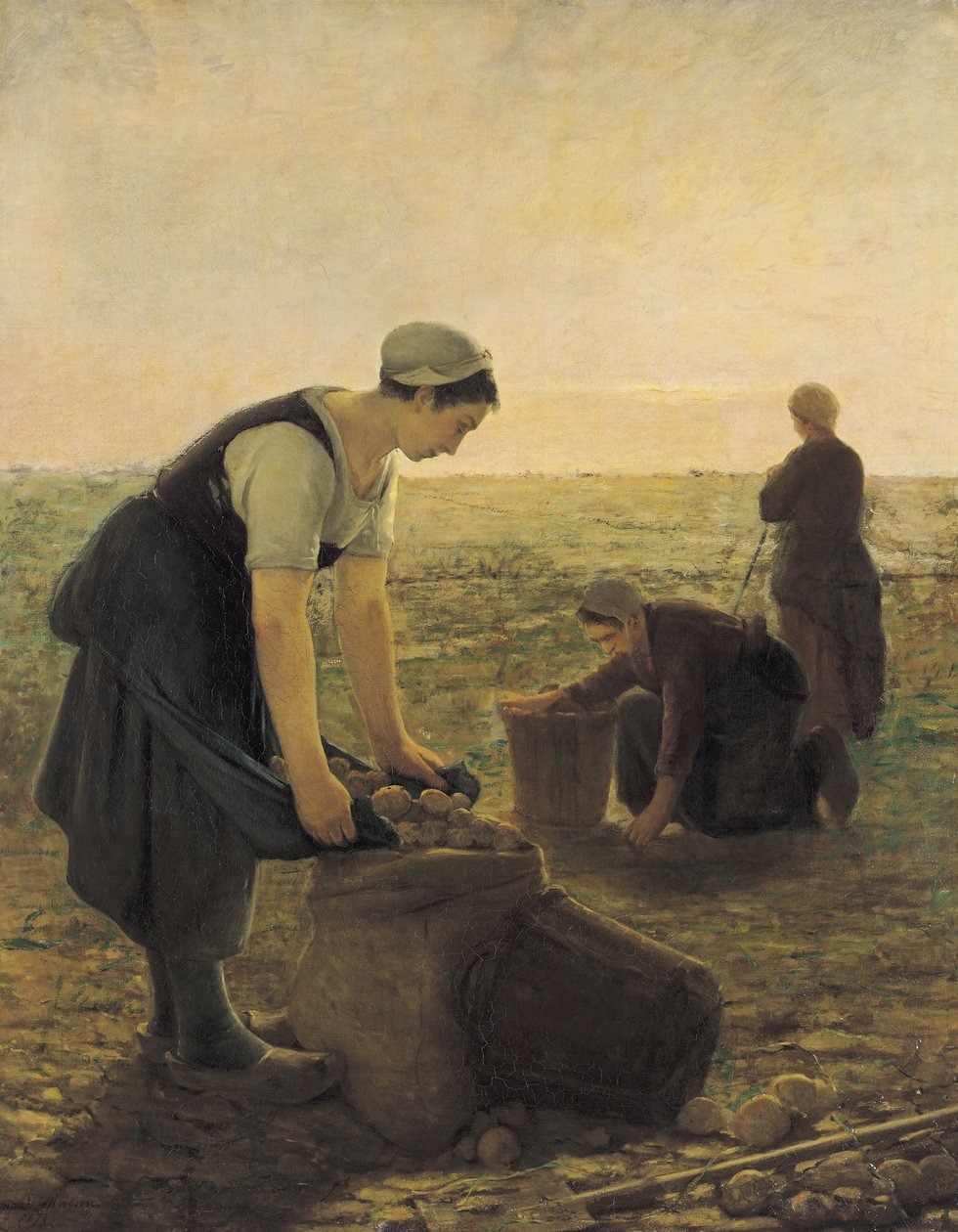 patates hasadı by Ernest Masson