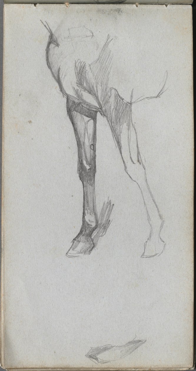 Eskiz defteri, sayfa 66: Bir Atın İncelenmesi. by Jean Louis Ernest Meissonier
