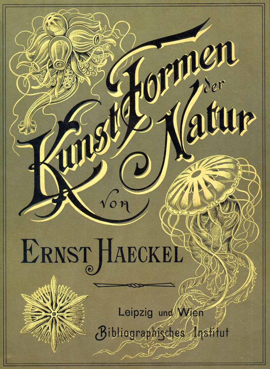 Ernst Haeckel