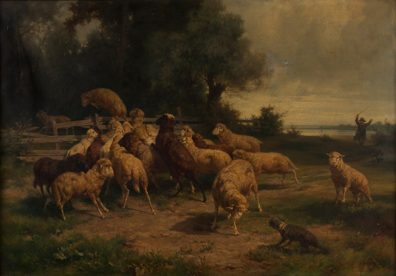 koyun by Ernst Adolph Meissner