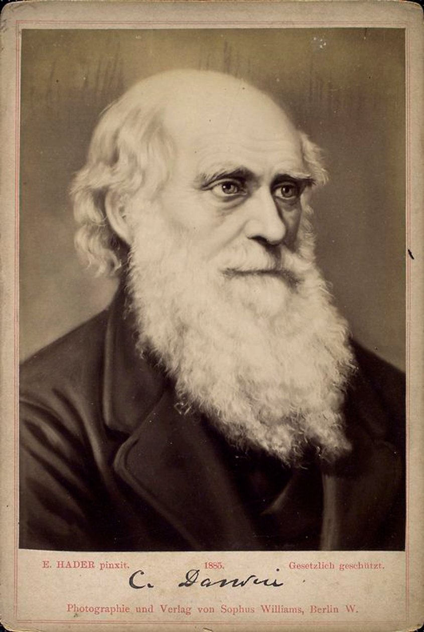 Charles Darwin, İngiliz doğa bilimci, c1860s-c1870s by Ernst Hader