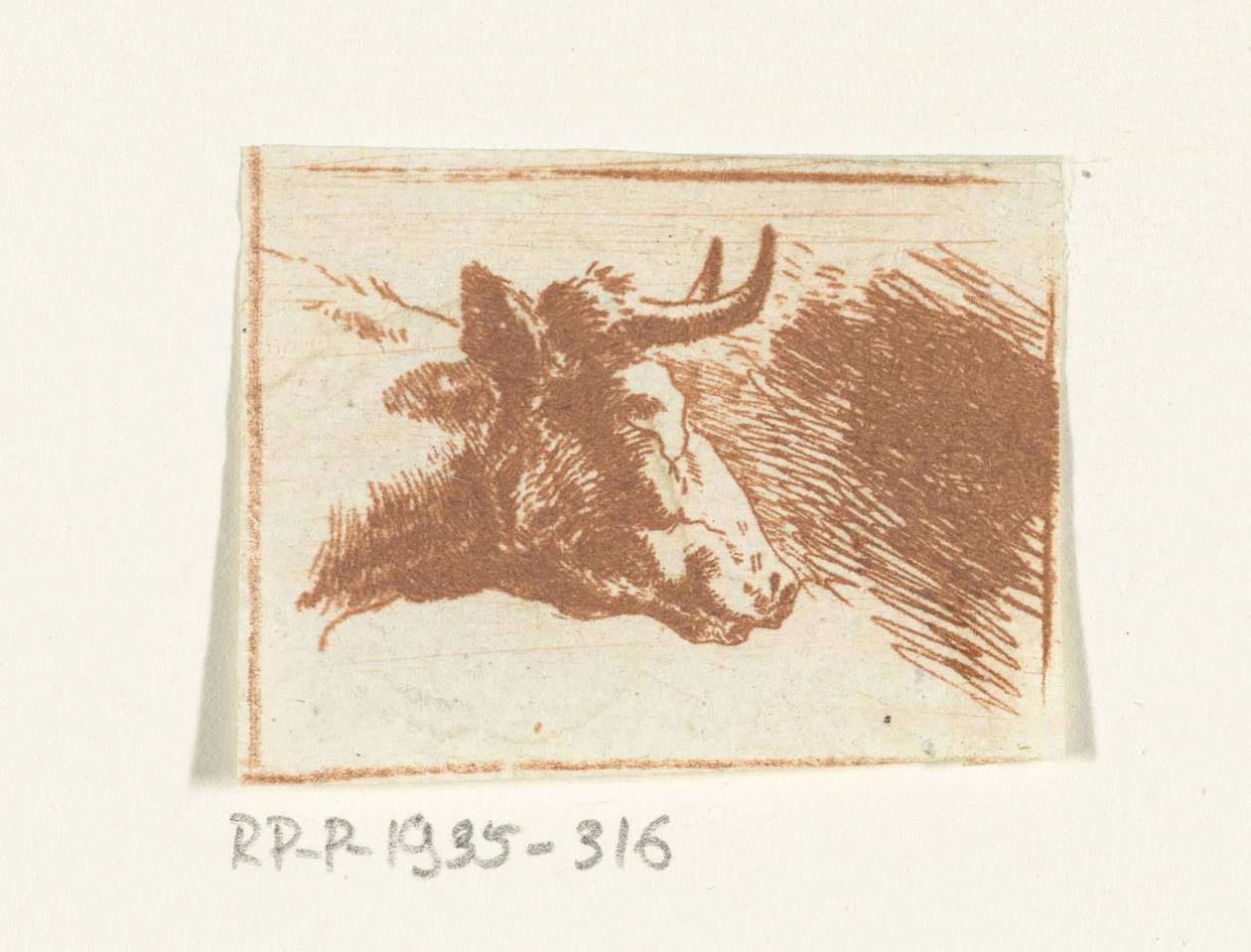 İnek başı sağa by Ernst Willem Jan Bagelaar