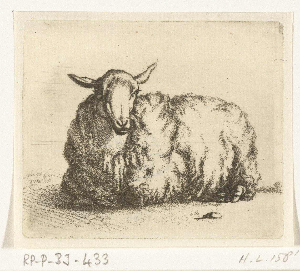 Önden yalancı koyun by Ernst Willem Jan Bagelaar
