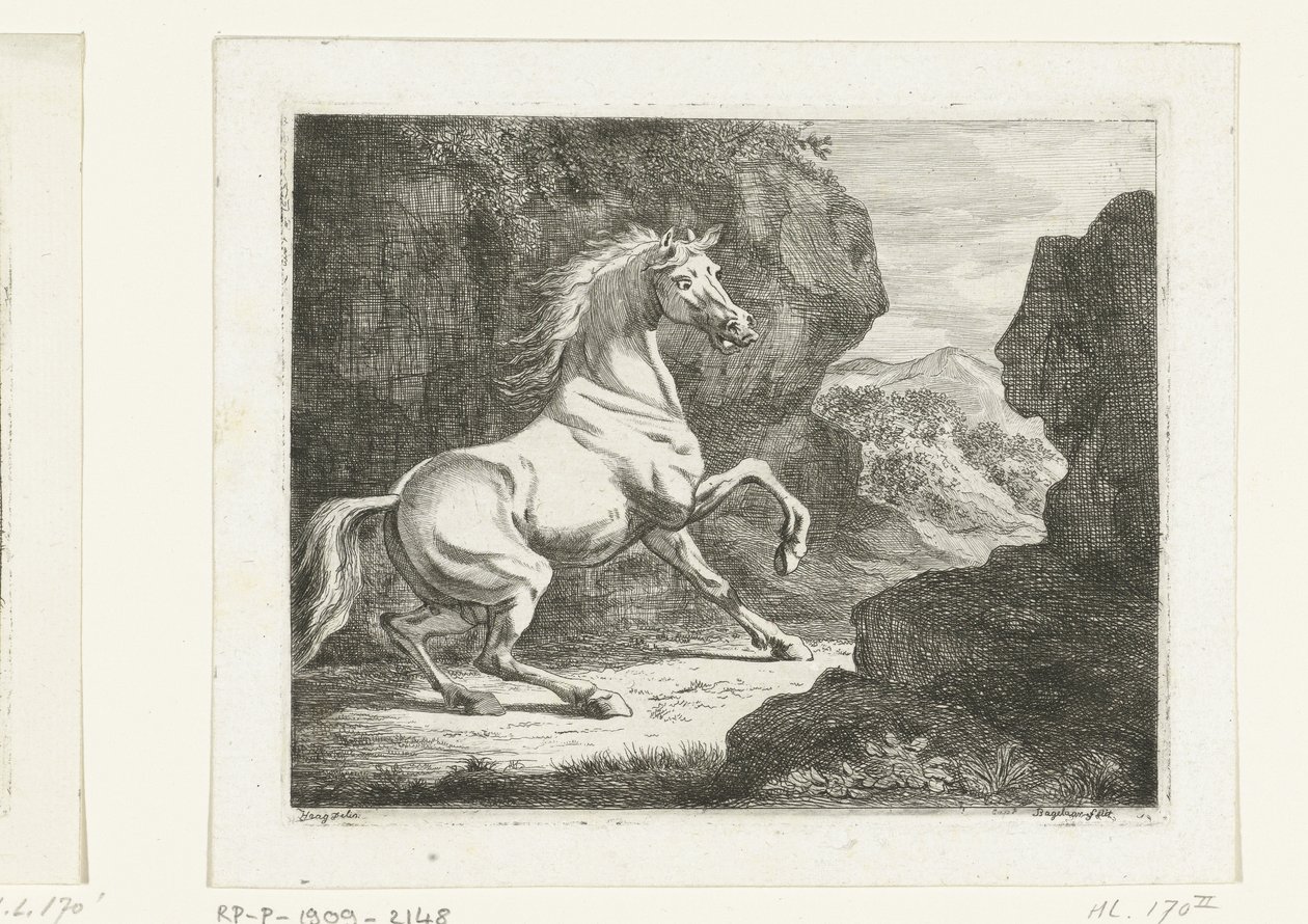 Zıplayan beyaz aygır by Ernst Willem Jan Bagelaar