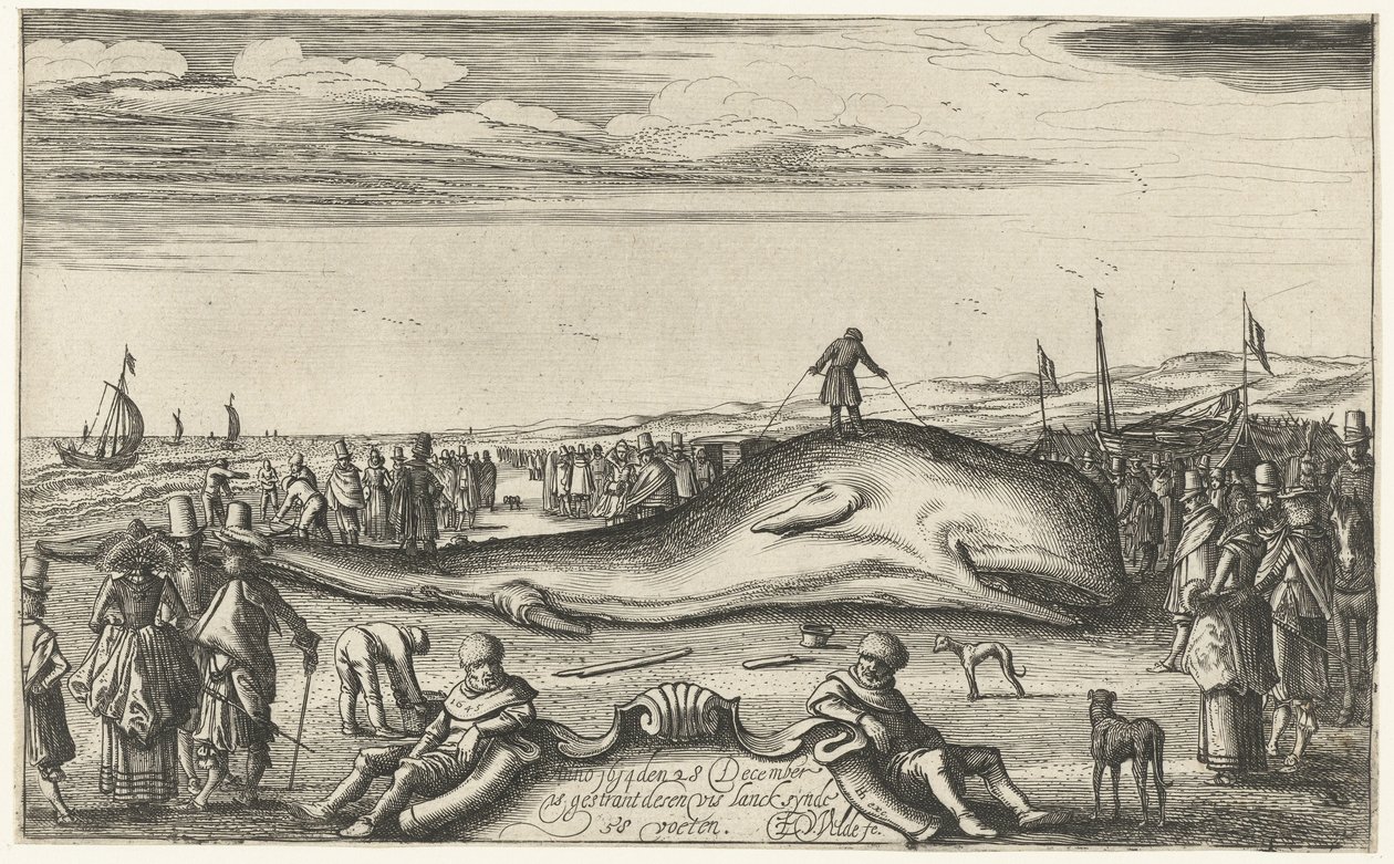 Noordwijk sahilinde mahsur kalan ispermeçet balinası, 1614 by Esaias van de Velde