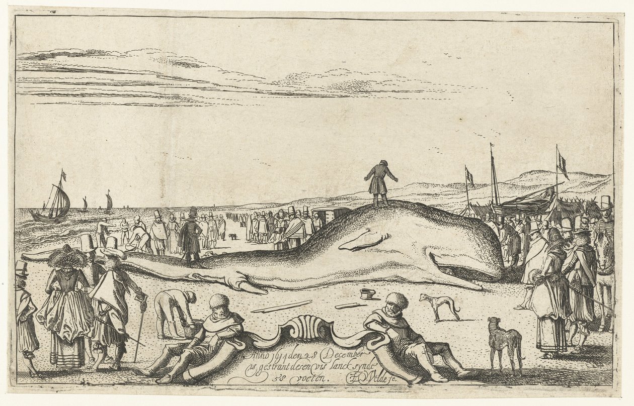 Noordwijk'te sahilde karaya vurmuş balina, 1614 by Esaias van de Velde
