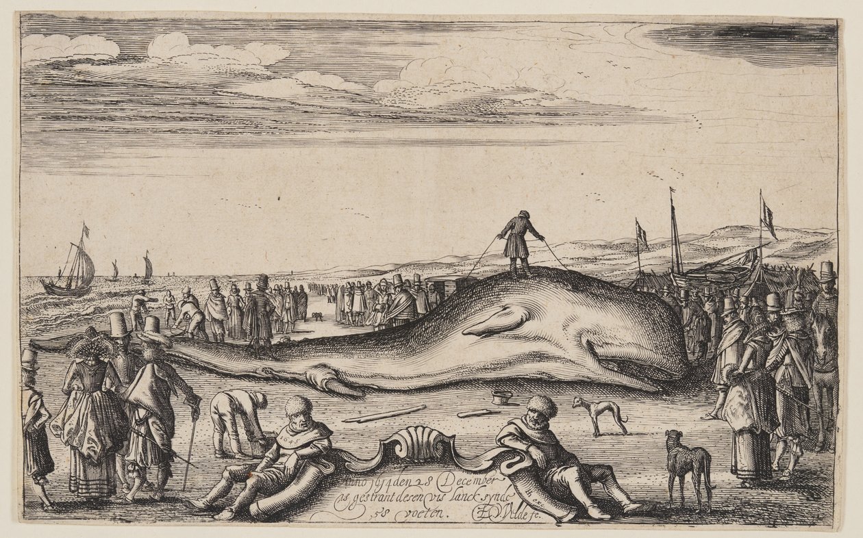  by Esaias van den Velde I