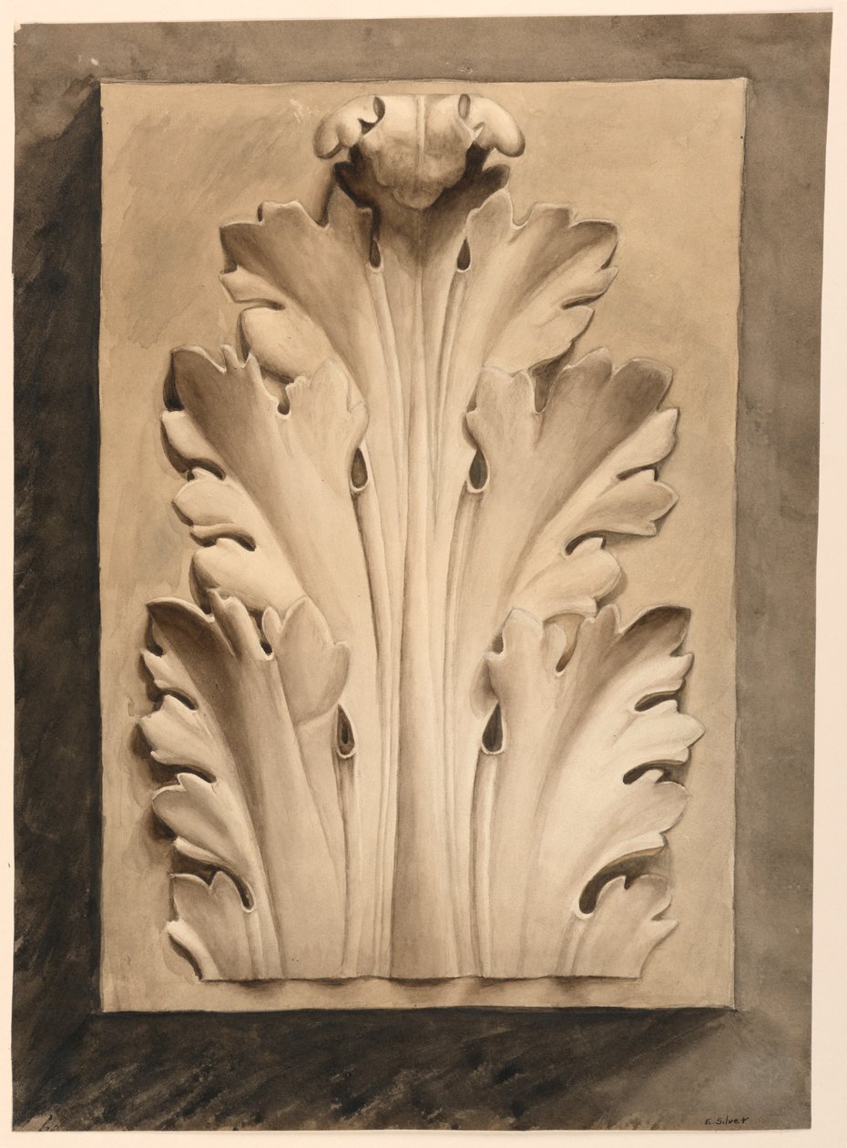 Çizim, Acanthus yaprağı: bir dökümden by Esther Silver