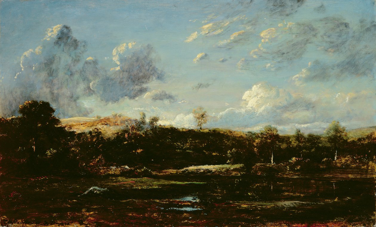 Landes'de (tuval üzerine yağlı boya) by Etienne and Dupre Jules  Rousseau
