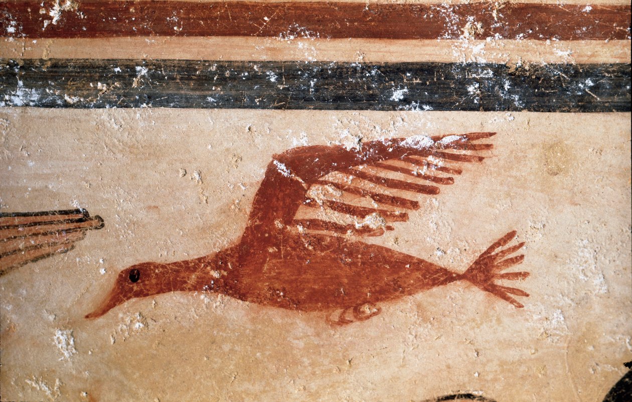Bir kuş. (Fresk detayı, MÖ 530) by Etruscan
