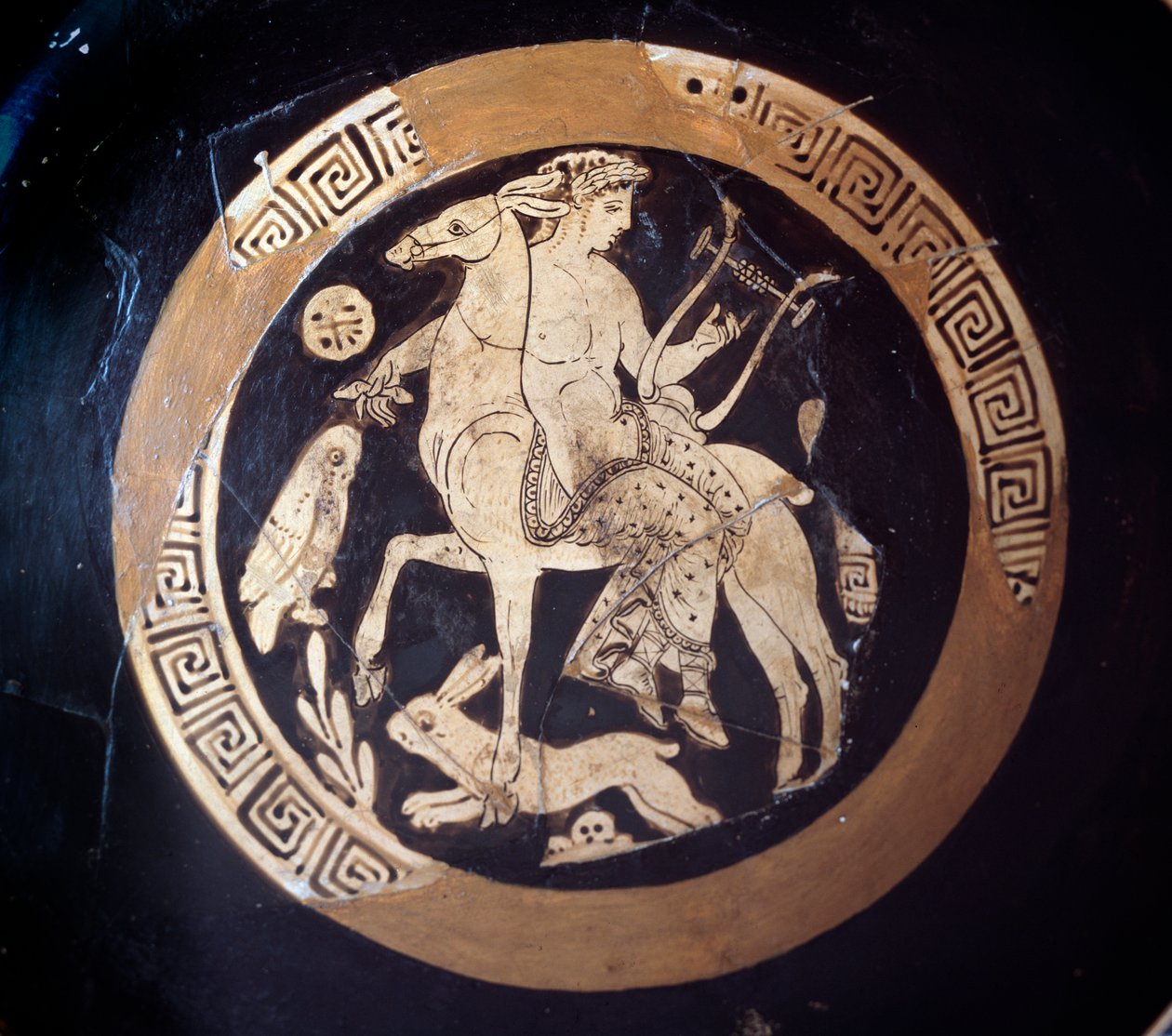 Apollon