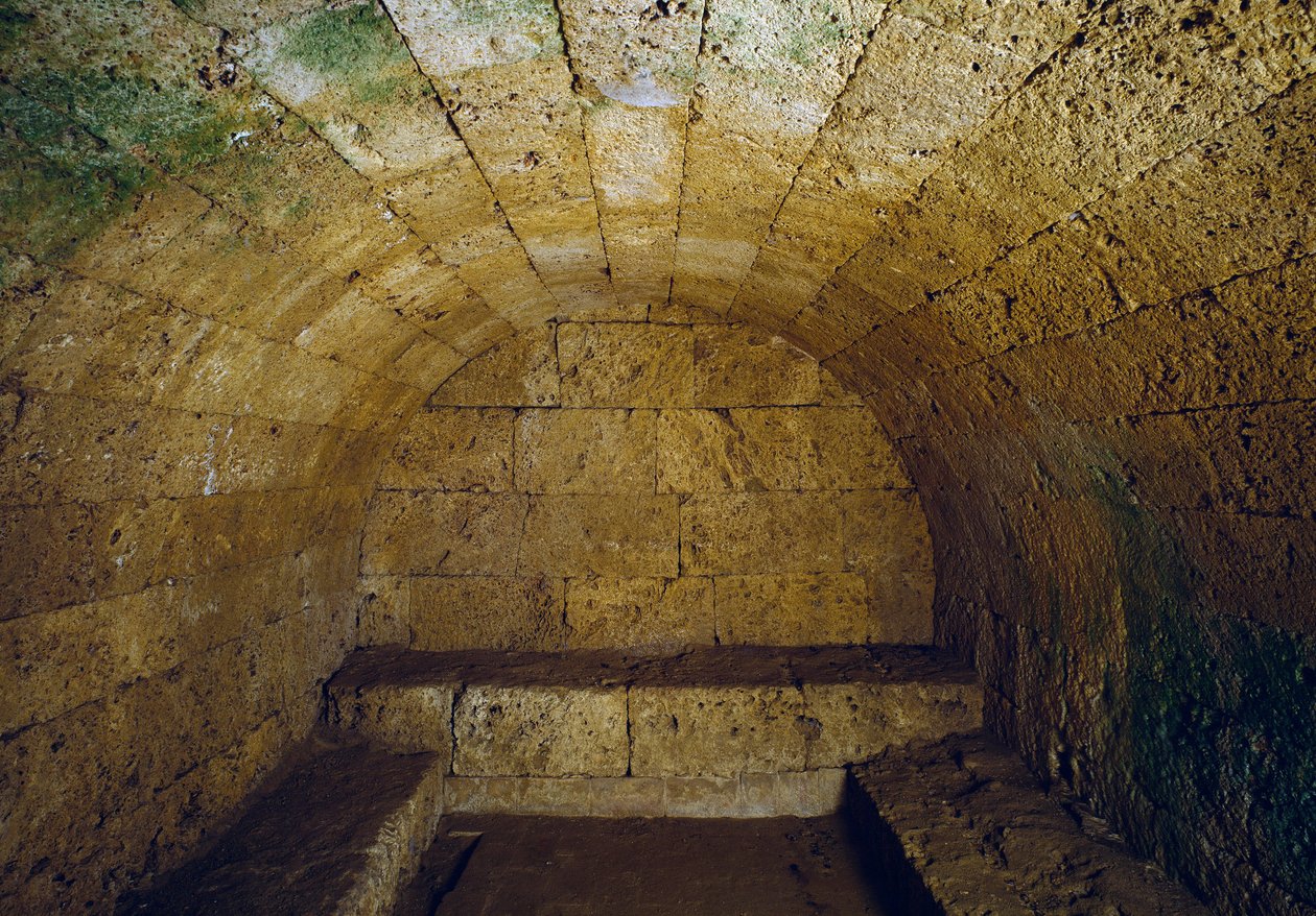 Útsýni yfir ráðhúsið í Köln. Þýskalandi by Etruscan Etruscan