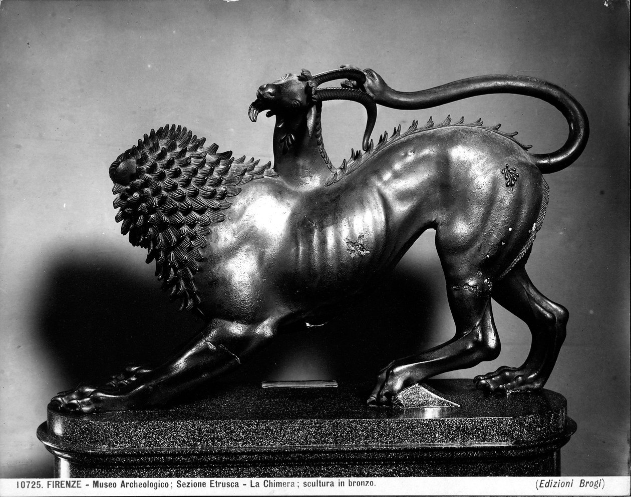 Bellerophon