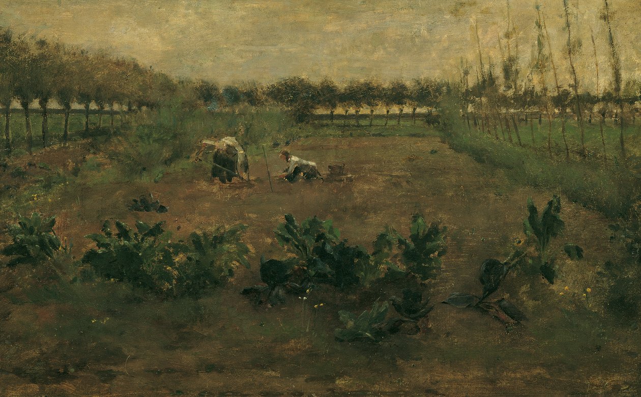 saha çalışması by Eugen Jettel